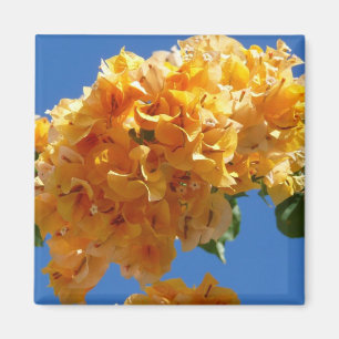 Cluster of Golden Bougainvillea Tropical Floral Magnet