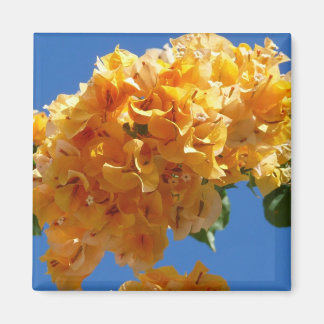 Cluster of Golden Bougainvillea Tropical Floral Magnet