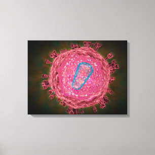 Cluster Of HIV Virus 2 Canvas Print