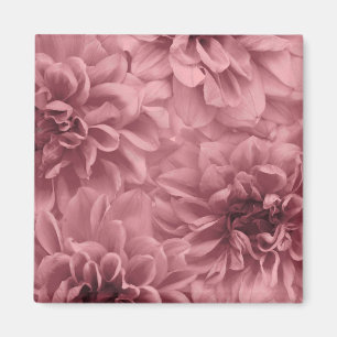 Cluster of Light Mauve Dahlia Flowers Magnet