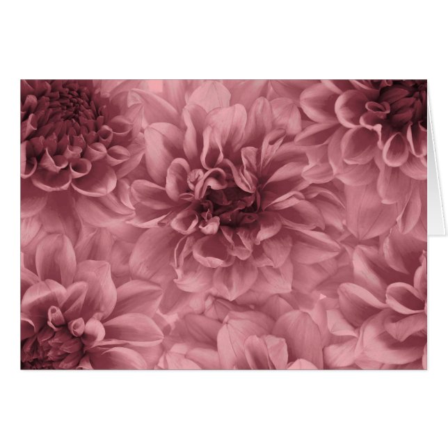 Cluster of light Mauve Dahlias (Front Horizontal)