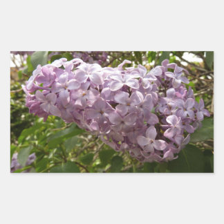 Cluster of Lilac Blossoms Spring Floral Rectangular Sticker