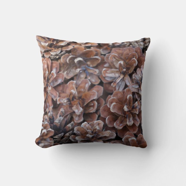 Cluster of Pine Cones Cushion (Front)