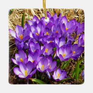 Cluster of Purple Crocuses Spring Floral Ceramic Tree Decoration
