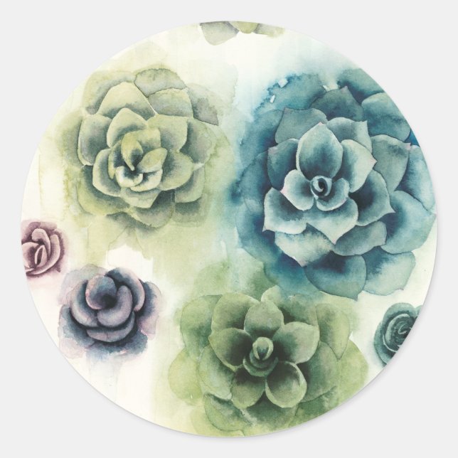 Cluster of Succulents Classic Round Sticker (Front)