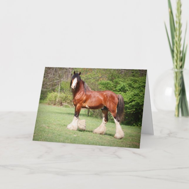 Clydesdale Birthday Card (Front)