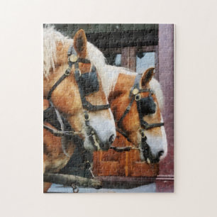 Clydesdale Closeup Jigsaw Puzzle