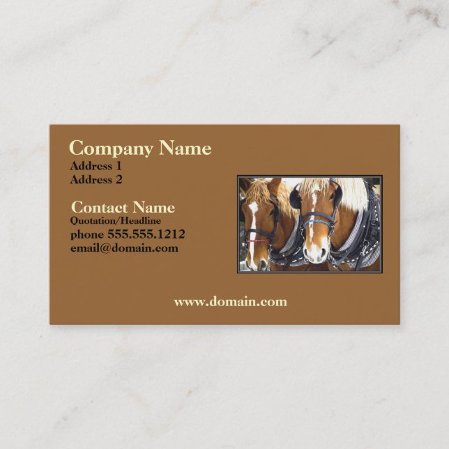 Clydesdale Draught   Horse Business Card (Front)