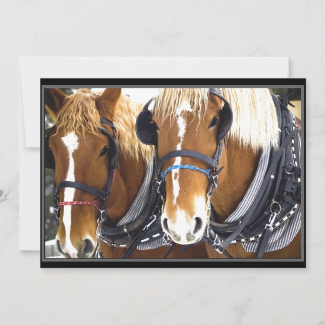 Clydesdale Draught Horse Invitation (Front)