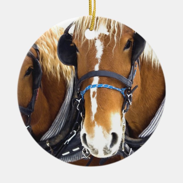 Clydesdale Draught   Horse Ornament (Front)