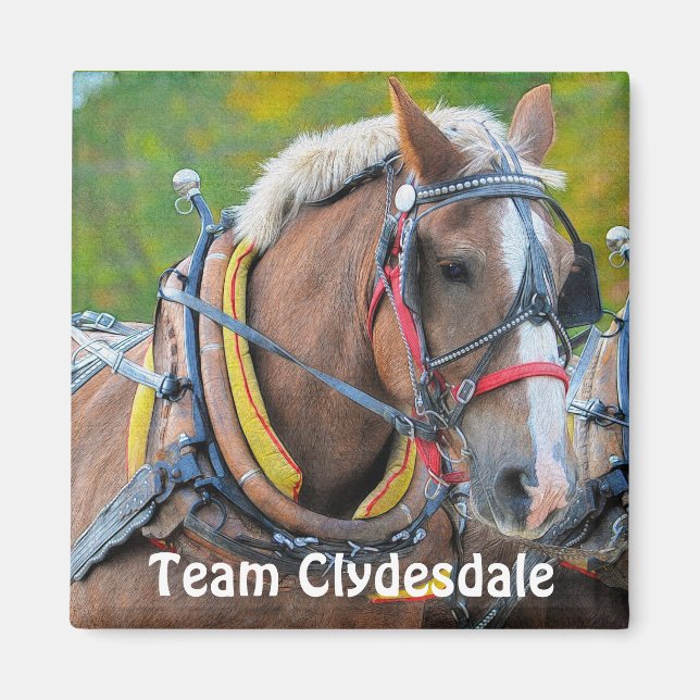 Clydesdale Draught Horse Team Magnetic Art Gift Magnet (Front)