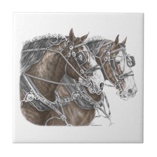 Clydesdale Draught Horse Team Tile (Front)