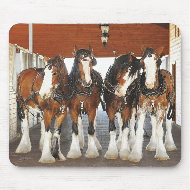 Clydesdale Draught   Horses in the Barn Mouse Pad (Front)