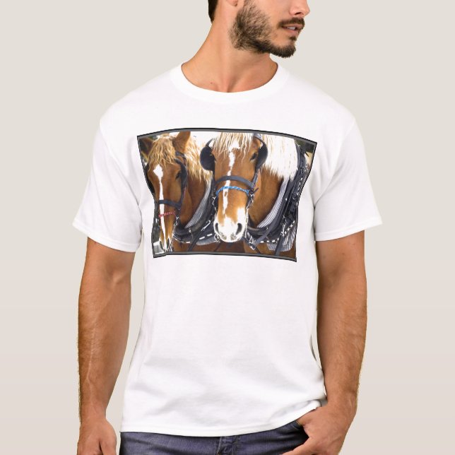 Clydesdale Draught   Horses T-Shirt (Front)