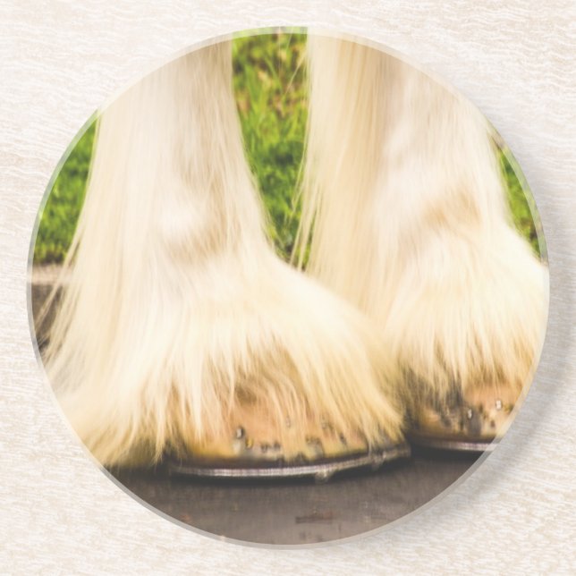 Clydesdale Feet Coaster (Front)