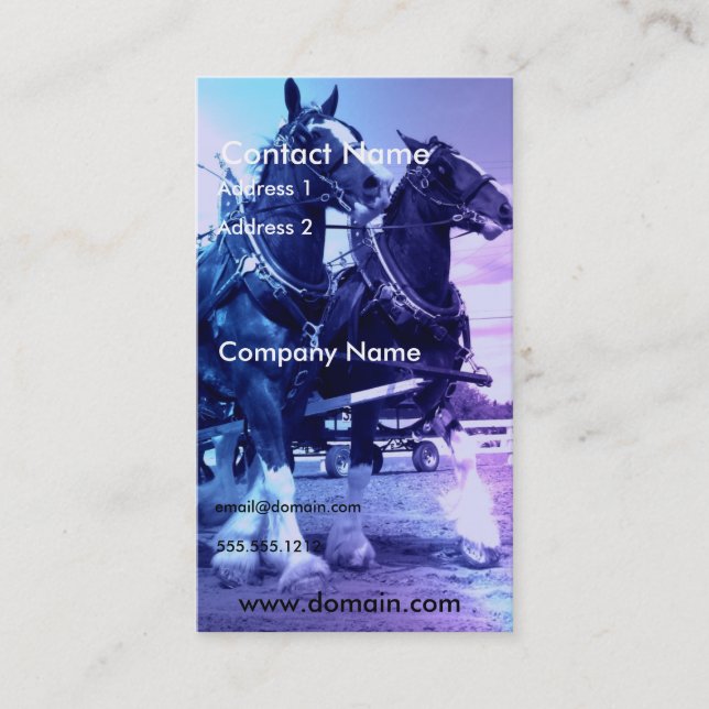 Clydesdale Horse Business Card (Front)