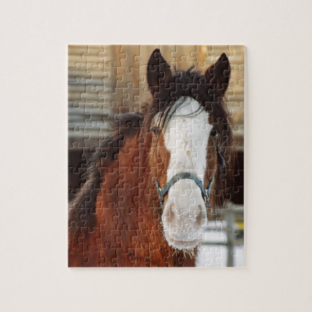 Clydesdale horse jigsaw puzzle (Vertical)