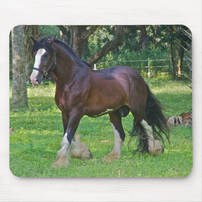 Clydesdale Horse Mouse Pad (Front)