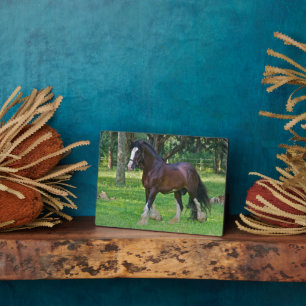 Clydesdale Horse Plaque