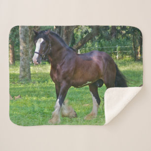 Clydesdale Horse Sherpa Blanket