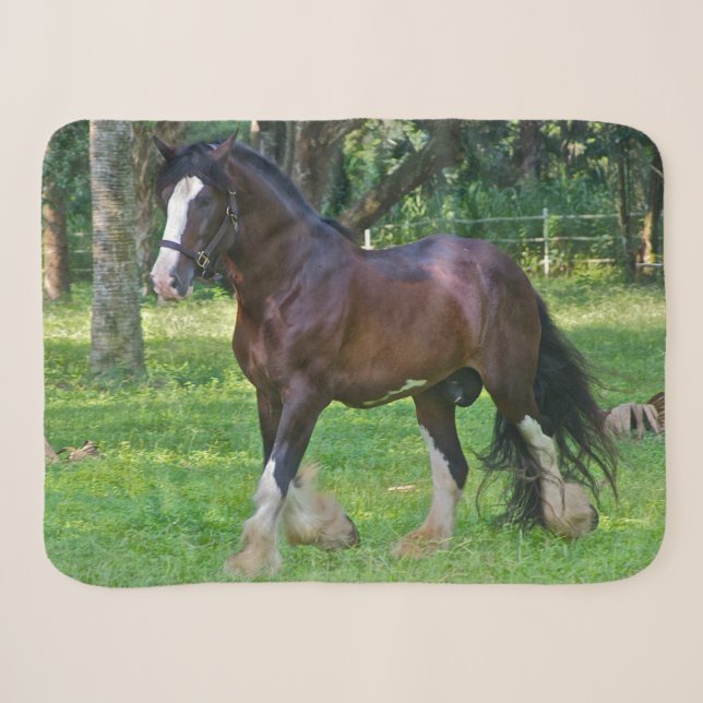 Clydesdale Horse Sherpa Blanket (Front (Horizontal))