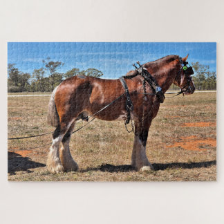 Clydesdale horse with harness, Australia Jigsaw Puzzle