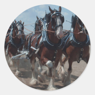 Clydesdale Horses Classic Round Sticker