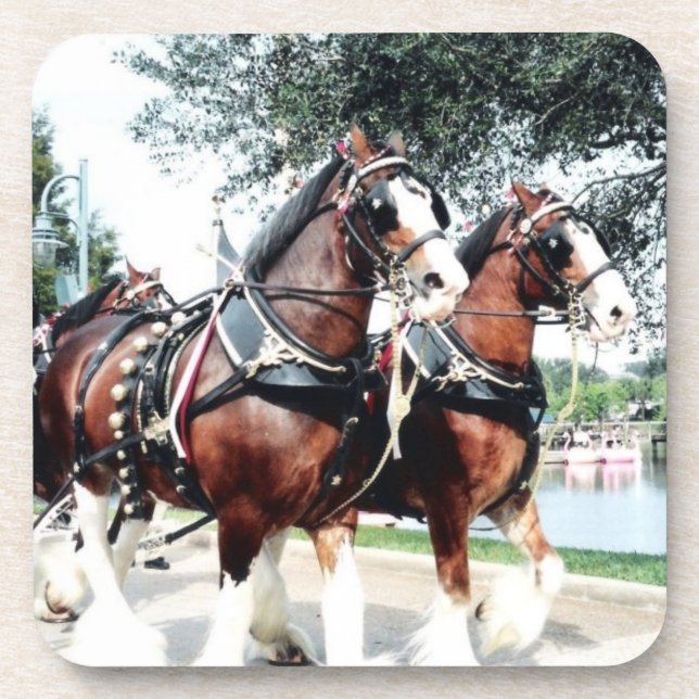 Clydesdale Horses Coaster (Front)
