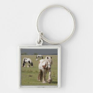 Clydesdale horses in a field, Northumberland, Key Ring