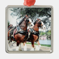 Clydesdale Horses