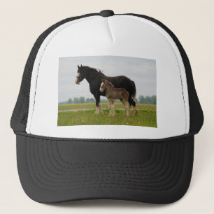clydesdale mare and filly trucker hat