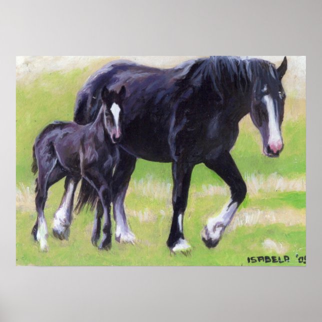 Clydesdale Mare and Foal Horse Portrait Poster (Front)