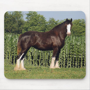 Clydesdale Mouse Pad