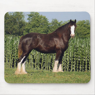 Clydesdale Mouse Pad