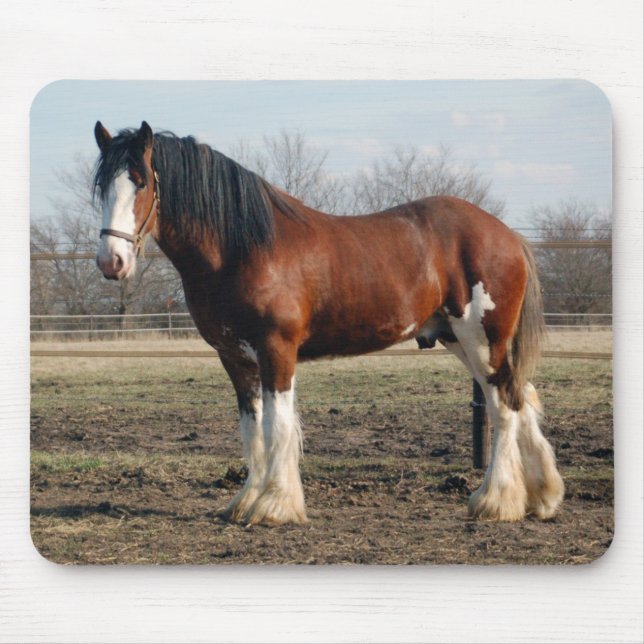 Clydesdale mousepad (Front)