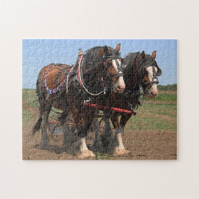 Clydesdale Ploughing Horses. Jigsaw Puzzle (Horizontal)