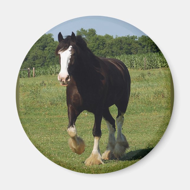 Clydesdale Running Magnet (Front)