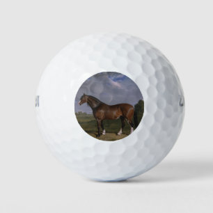 Clydesdale Stallion (Thoroughbred Horse) (Animal) Golf Balls
