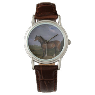 Clydesdale Stallion (Thoroughbred Horse) (Animal) Watch