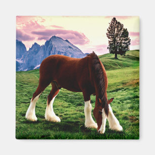 Clydesdale Sunset Magnet