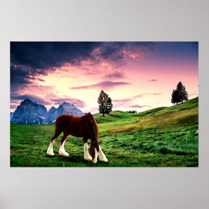 Clydesdale Sunset Poster