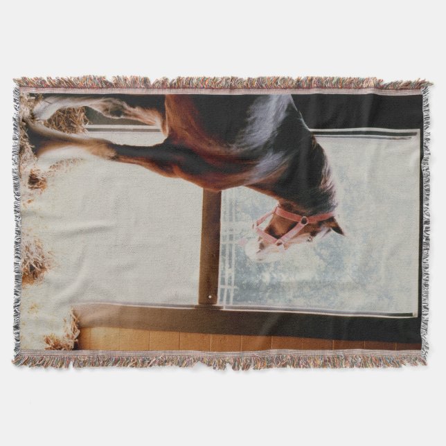 Clydesdale Throw Blanket (Front)