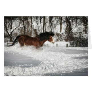Clydesdale's Snowy Run