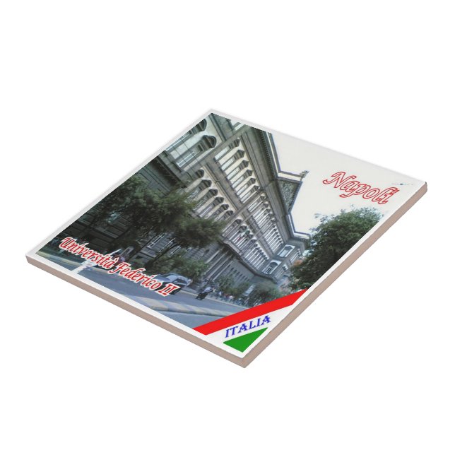 CMP048 NAPLES, Federico II University, Tile (Side)