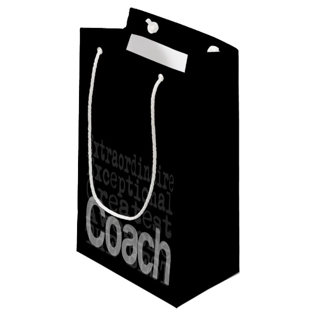 Coach Extraordinaire Small Gift Bag (Front Angled)