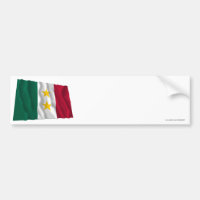 Coahuila y Tejas Flag