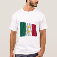 Coahuila y Tejas Flag
