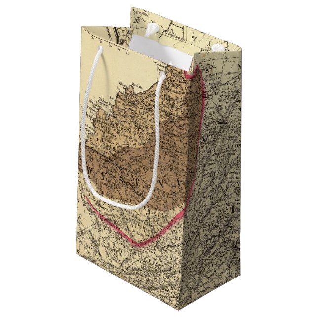 Coal fields in West Virginia Small Gift Bag (Back Angled)