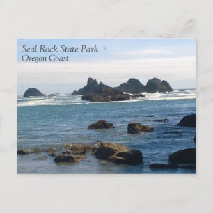 Coast at Seal Rock Oregon Postcard