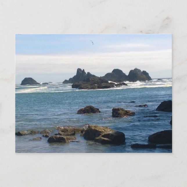 Coast at Seal Rock Oregon Postcard (Front)
